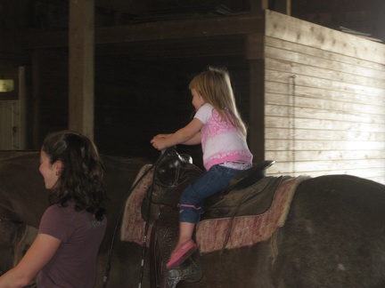 Addison Riding Horse3